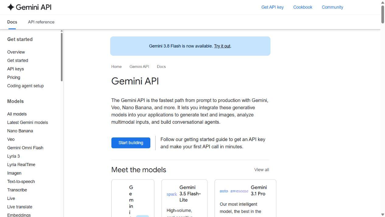 Gemini API public documentation showing its developer overview and model catalog.